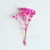 Mini Ramo de Flores Secas Naturales Tarjeta Decoración Material DIY Accesorios para Caja de Regalo Recuerdo Ramillete Amazon Transfronterizo