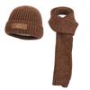 Conjunto de Três Peças de Chapéu, Luvas e Cachecol de Inverno para Homens e Mulheres, Chapéu de Tricô Quente com Forro de Fleece para Proteção das Orelhas, Chapéu de Lã Pulôver Europeu e Americano