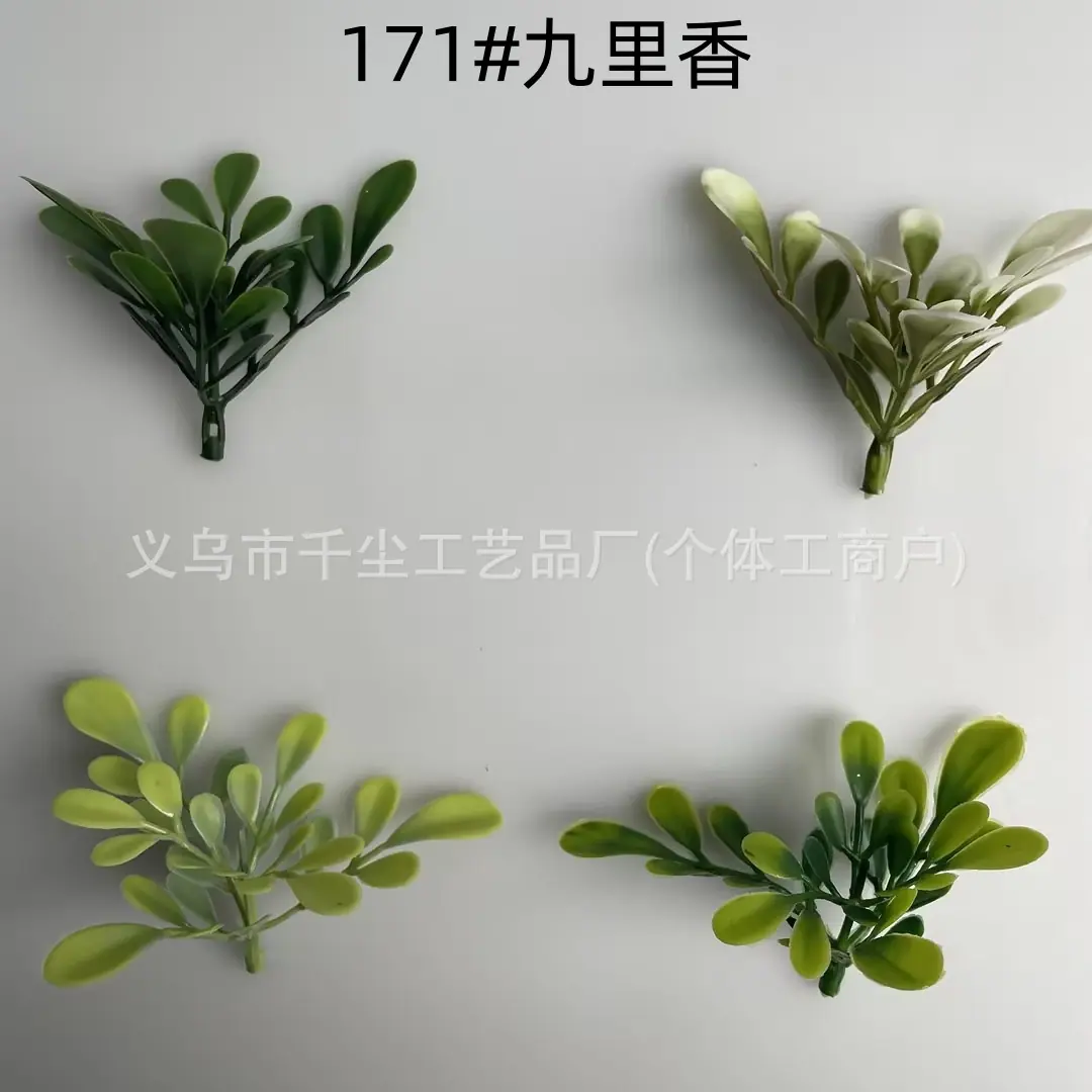 171#九里香.jpg