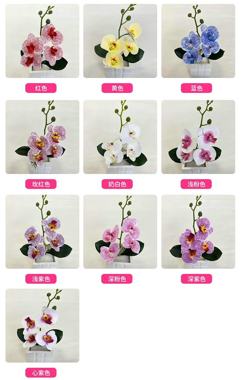 产品颜色.jpg