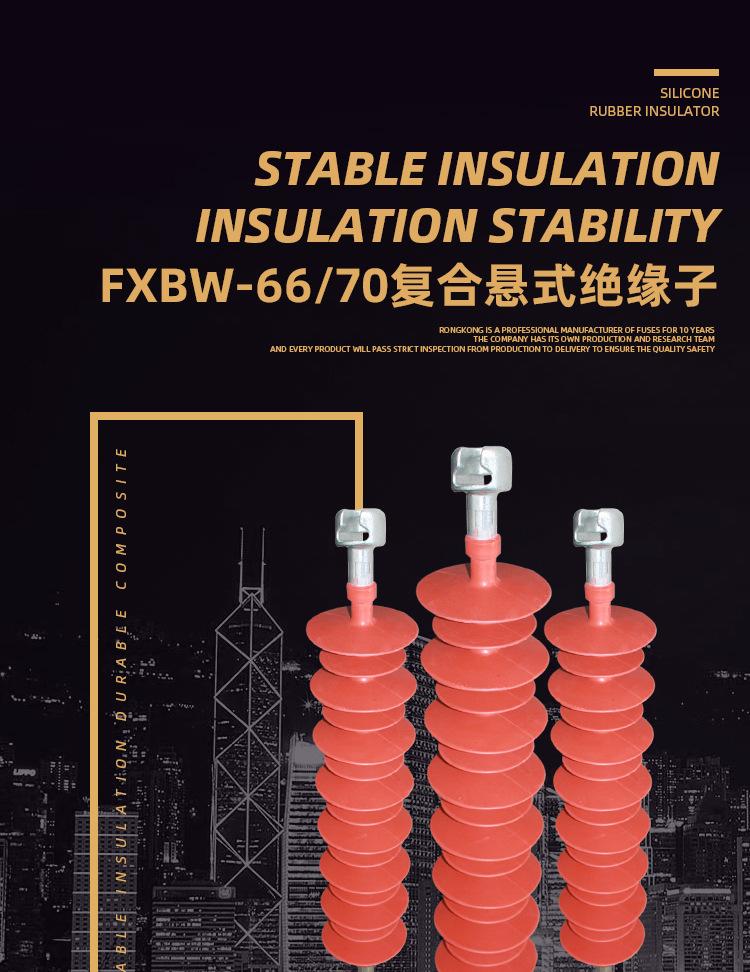 FXBW-66-70绝缘子详情页_01.jpg