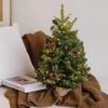Árbol de Navidad transfronterizo, decoración para el hogar, escritorio, habitación, estilo Ins, árbol desnudo de Navidad DIY en stock