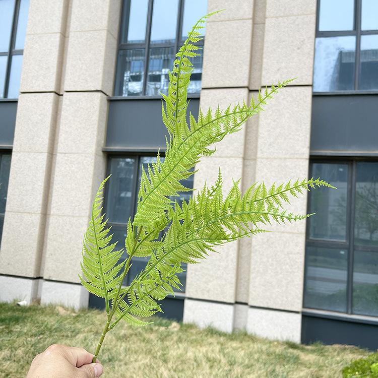 2叉软胶波斯草 浅黄绿.JPG