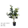 Suministro Transfronterizo de Plantas Verdes Simuladas, Árboles de Camelia, Adornos Decorativos de Piso para Sala de Estar en Casa, Macetas de Plantas con Flores Artificiales, Personalización