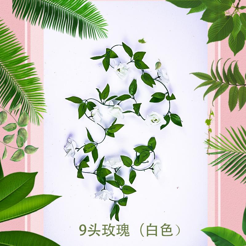 9头玫瑰（白色）1