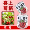 Latas de Plantio para Crianças Plantas Verdes em Vasos Sementes de Tomate e Hortelã Latas de Observação do Crescimento de Plantas para Jardim de Infância