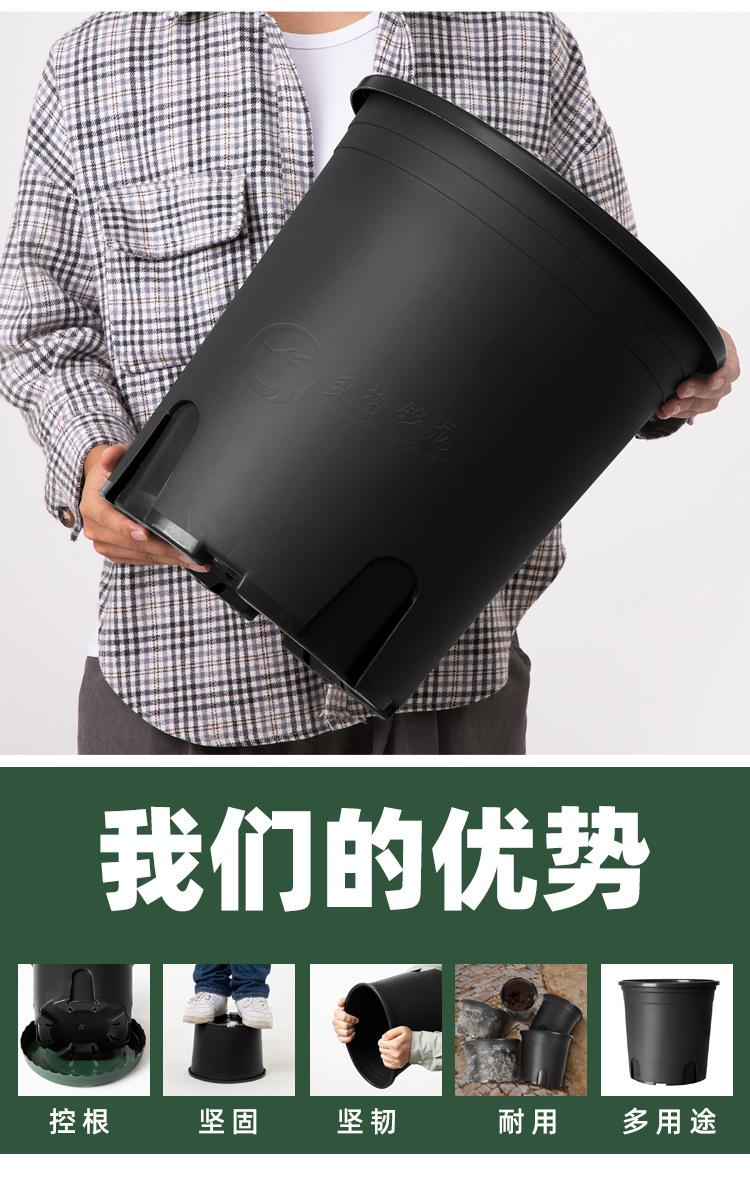 1_07.jpg