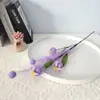Fruta de Amapola Simulada Caña Bola de Espuma Esquejes Ramo Muebles para el Hogar de Interior Estilo Pastoral Simulado Flores Artificiales