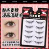 Pestañas Postizas Completas, Estilo Natural, Vástagos Transparentes, Vástagos Delgados, Pestañas Postizas de Cabello de Hada, Pestañas de Madre de Una Sola Pieza