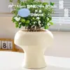 Venta de Liquidación de Macetas de Cerámica Tamaño Extra Grande para Uso en el Hogar con Plato, Diseño Único para Uso en el Hogar, Adecuadas para Cultivar Orquídeas Phalaenopsis y Suculentas