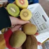 Venta al por mayor y Dropshipping de Kiwi de Tres Cepas Henan Xixia 8 Yang Cui Xiang Rojo Fruta Dorada G3 Fruta Fresca de Temporada Caja Completa