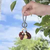 Novo Kit de Material DIY Sino de Vento de Casca de Fruta Natural Sino de Mão de Planta Fruta Artesanal Semi-Acabado Pingente de Chaveiro