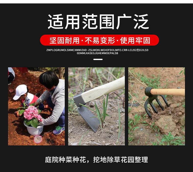 详情_03.jpg