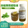 Extracto Líquido de Menta Concentrado, Jugo Concentrado Alimentario, Materia Prima de Extracto de Planta de Menta, Venta al por Mayor Fabricante Fuente Xingzhu