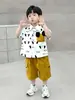 Camisetas de Verão para Bebês Meninos e Meninas, Roupas para Bebês de 0 a 4 Anos, Conjunto de Duas Peças de Algodão para Uso Externo, Atacado Direto de Fábrica