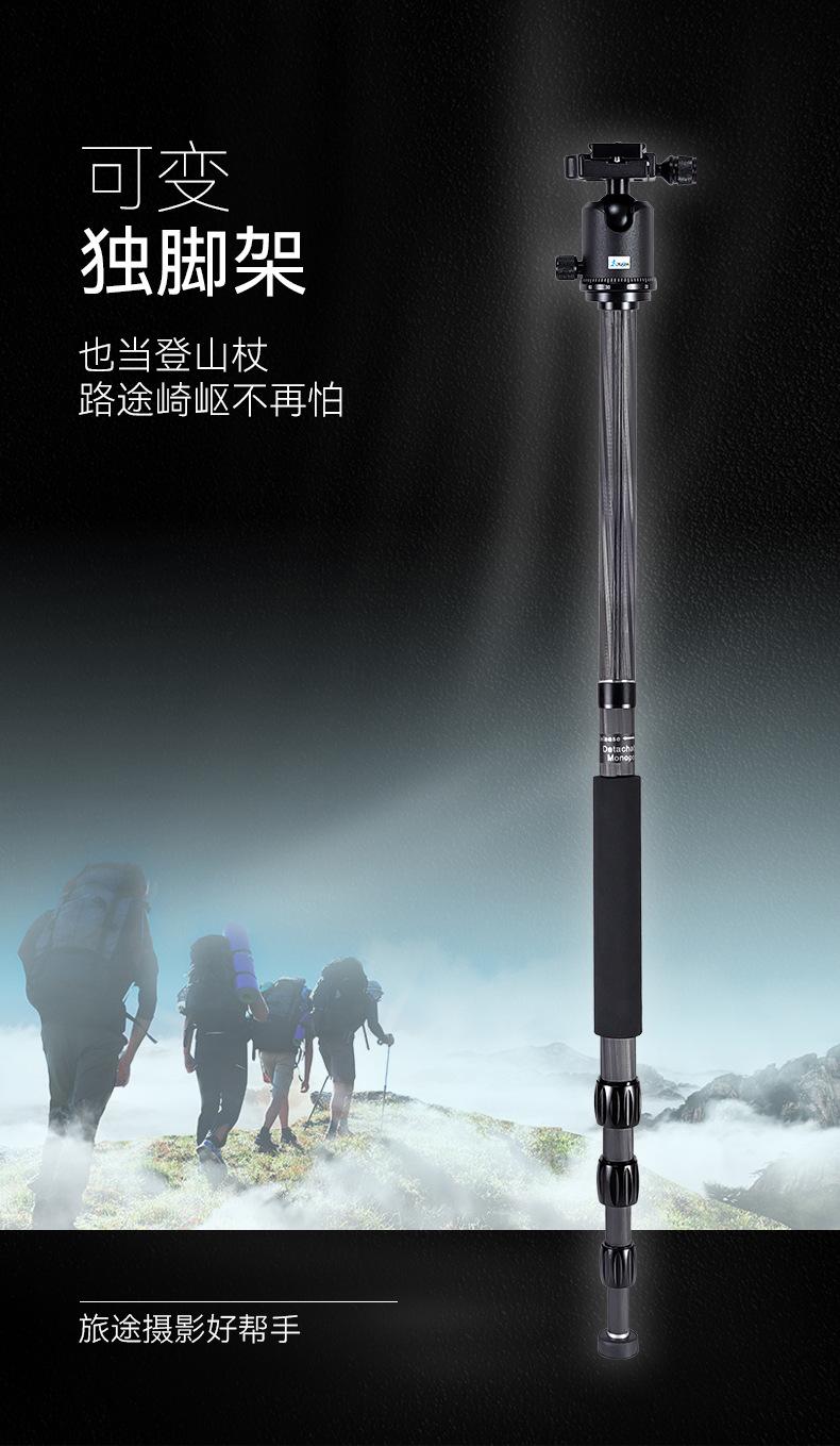 C258Q1中文详情_06