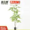 Decoração de Planta Artificial Verde, Planta em Vaso de Olmo Artificial, Grande Enfeite de Chão, Bonsai de Árvore Artificial para Hotéis e Shoppings
