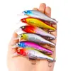 Minolua Señuelo Flotante 10cm 10g Lápiz Largo Alcance Suspendido Lubina Señuelo Artificial Xige Artículos de Pesca Mayoreo
