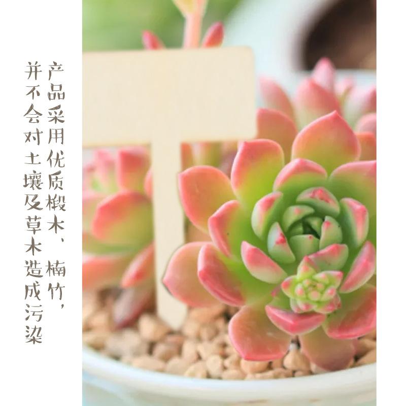 竹8.jpg