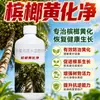 Enfermedad de la nuez de betel cura completa fungicida Medicina especial para la enfermedad de la nuez de betel Antracnosis Enfermedad del amarillamiento Plagas y enfermedades Pudrición del tallo Hojas amarillas Manejo integral