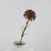 Fresco Pastoral Tallo Único 58cm Bolas Pequeñas de Hierba Bolas de Cebolla Artificiales Bolas Doradas Flores Falsas Decoración del Hogar Flores de Seda Pompones Mayoreo