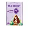 Adesivos Quentes com Losna, Adesivos Autaquecentes para Período Menstrual, Adesivos Quentes Abdominais, Adesivos Quentes para Pés com Losna, Gengibre e Leonurus, Adesivos Aquecedores Corporais