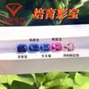 Cultivo de Zafiro Crecimiento de Laboratorio Síntesis de Cristal Zafiro Rojo Fertilizante Faceta Rectangular Joyería Piedra en Bruto Incrustación