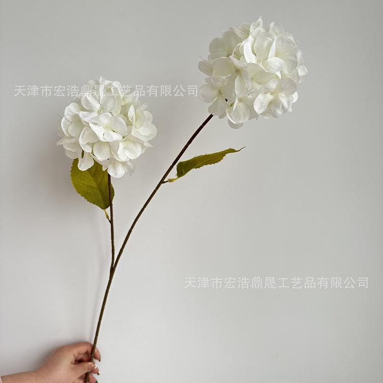 微信图片_202303211636149_副本