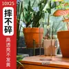 Orquídea Phalaenopsis vaso hidropônico vaso de flores vaso acrílico bacia hidropônica transparente jardinagem de mesa redondo varanda