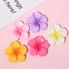 Frangipani de Gradiente de Seis Colores Accesorios de Resina para Manualidades Pasador Diadema Material Versátil Nuevo Simple Corazón Femenino Superficie Brillante