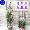 Soporte para Flores Rosas Soporte para Enredaderas Trepadoras Soporte para Flores Soporte para Rosas Soporte para Plantas Enredaderas Trepadoras Balcón Clematis Jardinería Estilo Europeo