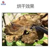 Secador de Rodajas de Chuanxiong Shanjuqiong Xiongqiong Fruta Aromática Medicina Herbal China Set Completo de Equipo para Rebanar y Secar Secador de Chuanxiong