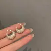 Bolsa de Luxo Nicho com Microincrustação de Zircônia Brincos Elegantes e Argolas Brincos Distintos Exquisitos de Alta Qualidade para Mulheres