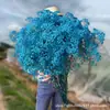 Gipsofila Flor Eterna Ramo de Flores Secas Venta Directa de Fábrica de Yunnan Gipsofila Flor Eterna Hecho a Mano DIY Flores al por Mayor