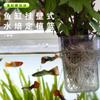 Tanque de Peces Transparente Cesta Hidropónica para Plantas Estante Flotante para Plantas Montado en Pared Hogar Taza para Plantar Plantas Acuáticas Decoración de Paisajismo para Tanque de Peces