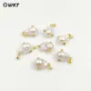 WT-MP138 Forma Irregular Natural Color Perla Barroca Zirconia Incrustada Pendientes Collar Colgante Pequeño
