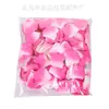 Pétalos de Boda Personalizables, Materiales de Decoración para Bodas y Festivales, Opciones Multicolor, Pétalos Artificiales de Tela de Seda al por Mayor