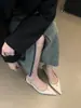 Nuevos Zapatos de Mujer Primavera 2025: Zapatos de tacón medio de punta fina, boca poco profunda, con hebilla metálica y espalda descubierta, de estilo europeo y americano, modernos y elegantes, para mujer