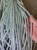 Atacado de fábrica corda de couro PU redonda de seis fios de couro trançado corda para joias 5mm corda de couro multicolorida fabricantes de corda de couro atacado
