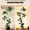 Planta Artificial Verde Black Diamond con un Toque de Lujo para Decoración de Sala de Estar, Planta de Interior Grande en Maceta, Árbol Falso, Planta Biomimética