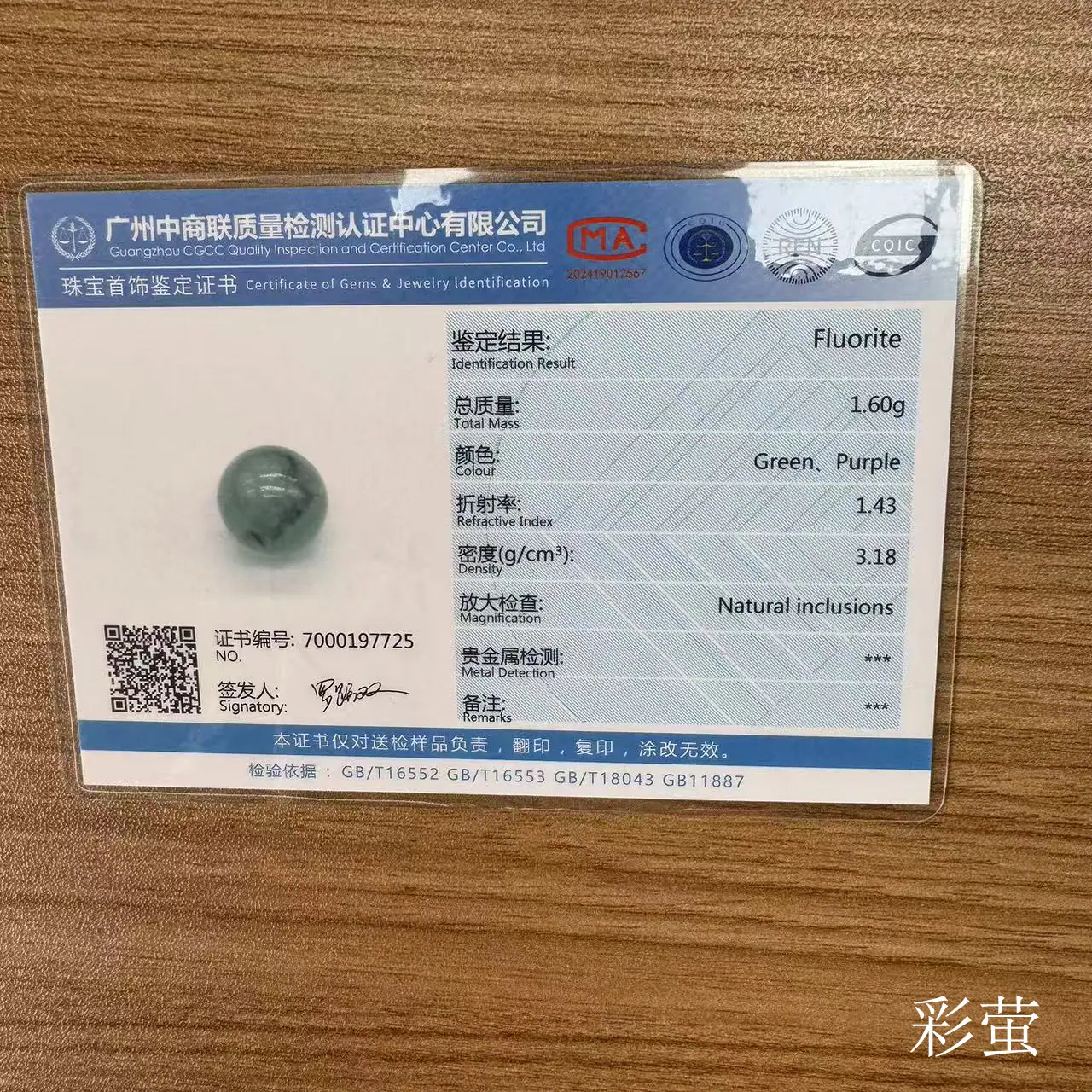 彩萤E.jpg