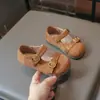 Sapatos Mary Jane retrô infantis, coleção de outono para meninas, sapatos slip-on de sola macia, tamanhos pequenos e médios, estampa de leopardo, sapatinhos de couro versáteis