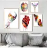 Escritório de Educação Médica Tela Pintura em Tela de Anatomia Humana Músculo Pintura Artística Pintura Aquarela Personagem Pintura Decorativa Núcleo