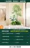 Paisajismo con plantas verdes artificiales, plantas combinadas de paisaje tropical biónico a gran escala para interiores y exteriores, decoración de escaparates de lujo ligero de alta gama
