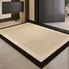 Felpudo de entrada de alta gama, alfombra para recibidor, felpudo antideslizante quitapolvo para la puerta principal, felpudo lavable y fácil de limpiar