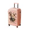 Maleta Duradera de Dibujos Animados Maleta Trolley de Aluminio para Mujer Estudiante Lindo Graffiti Equipaje Caja con Contraseña Caja Entroning