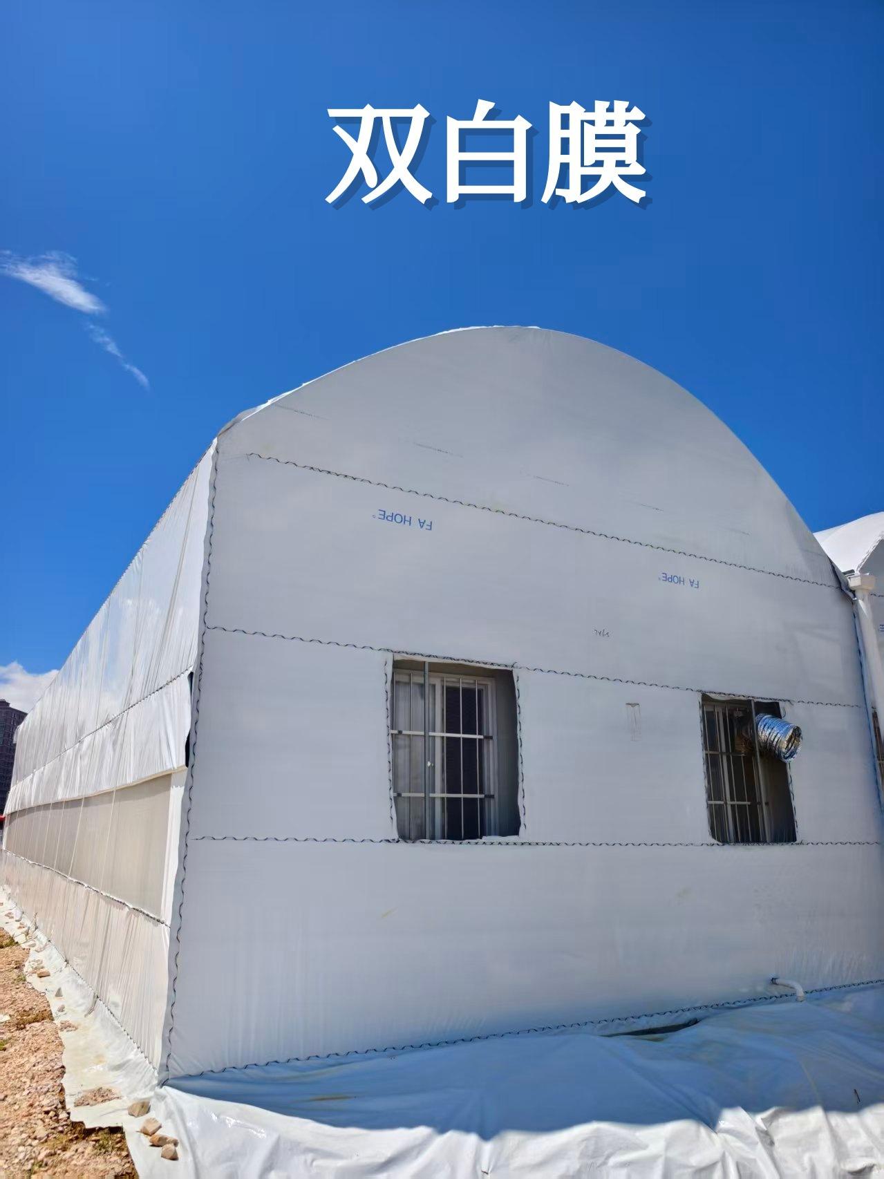 双白2 (2)_副本