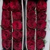Rosas Vermelhas, Flores Frescas, Entrega Direta de Yunnan, Exclusivamente para Floriculturas, Empresas de Casamento e Distribuidores, com Envio em Cadeia de Frio