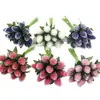 Fresas Simuladas con Escarcha, Decoraciones Navideñas, Caja de Regalo de Flores Eternas, Materiales para Hacer Guirnalda Colgante para Coche