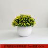 Amazon Simulação Explosiva Planta em Vaso de Plástico Estilo Simples Casa Desktop Decoração Planta Verde Mini Simulação Planta Bonsai